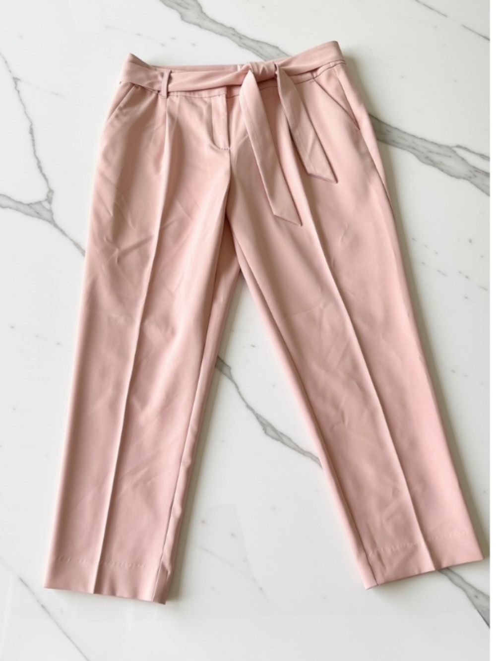 LOFT Tie-Waist Pleated Trousers